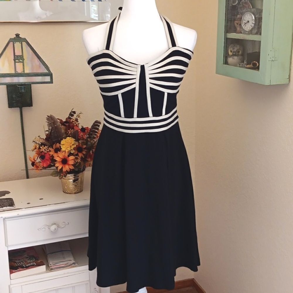Pink Martini Corset Dress